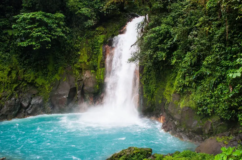 Río Celeste waterfall falling into a turquoise pool surrounded by rainforest in Costa Rica